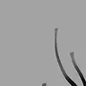 Profile image of 楠木