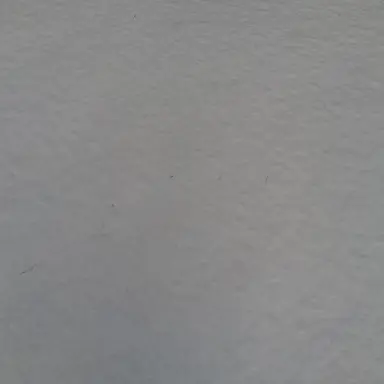 Profile image of 나라 알러주는사람