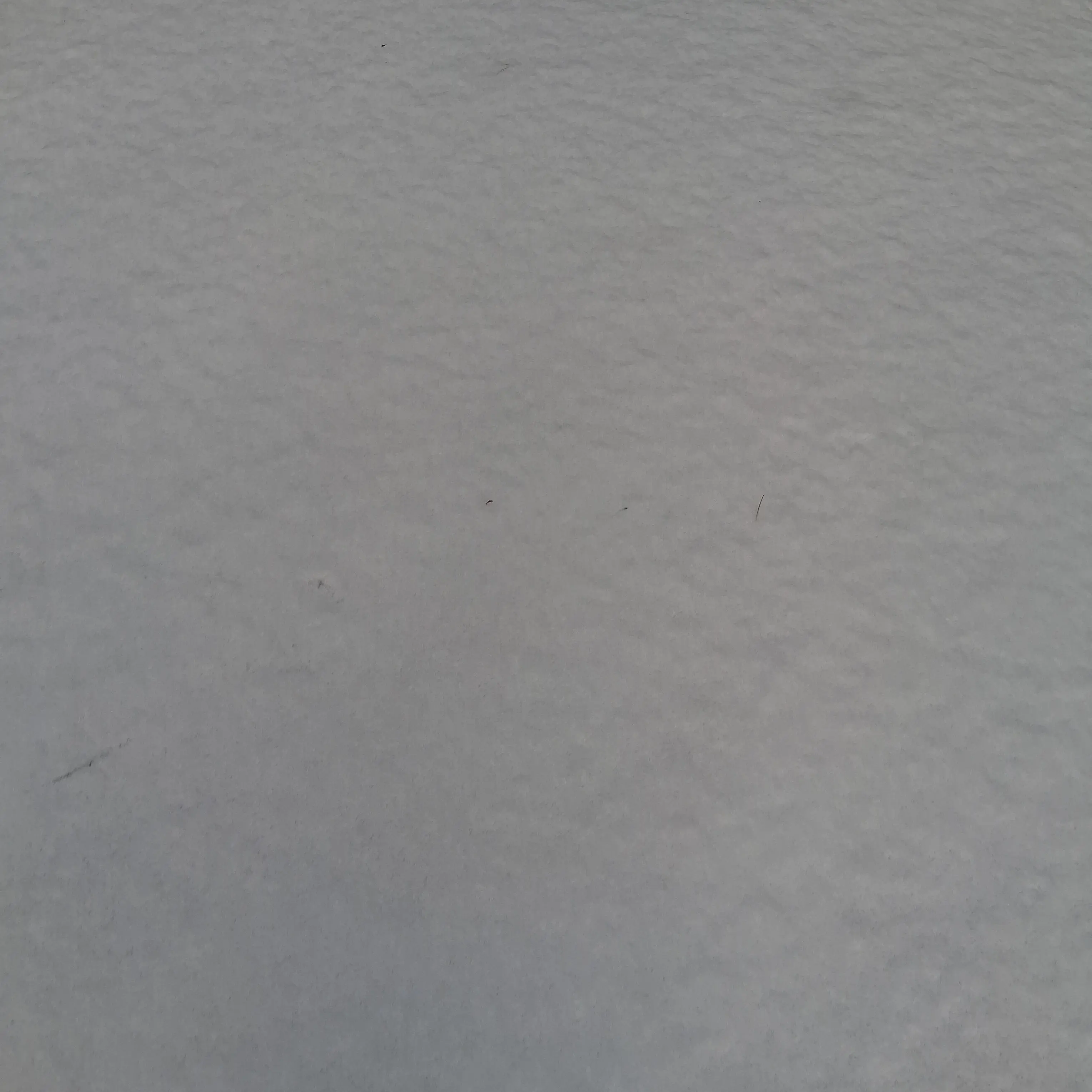 JoyfulGesso1209의 대한민국 1950년