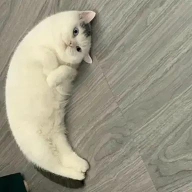 Profile image of 나재민