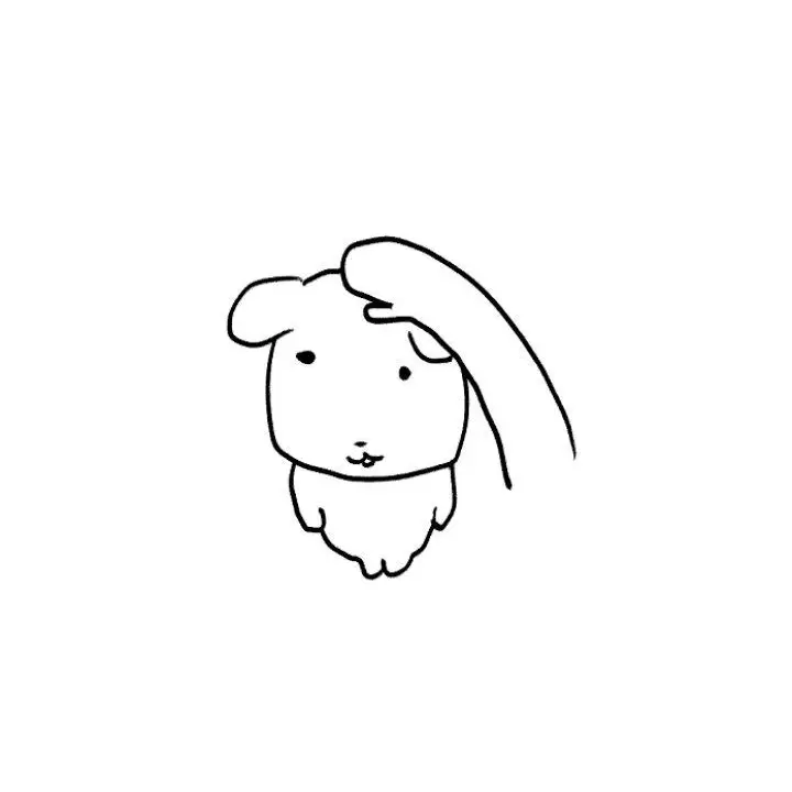 Sdfad의 제타접어요