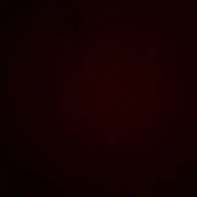 Profile image of 이나경