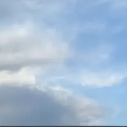 Profile image of みゃあ