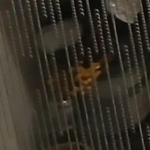 Profile image of 종족팀나빠 늑대..