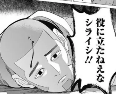 Profile image of 白石 由竹