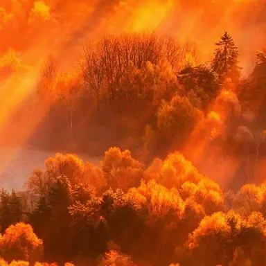 Profile image of 덕개