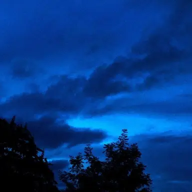 Profile image of 잠뜰