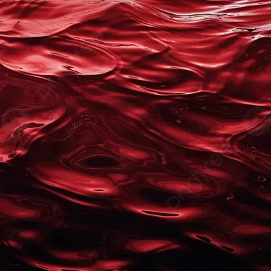 Profile image of 플래그