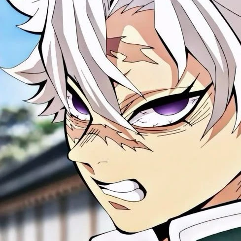 시나즈가와 사네미