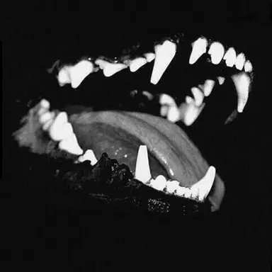 Profile image of ル・ロヨン