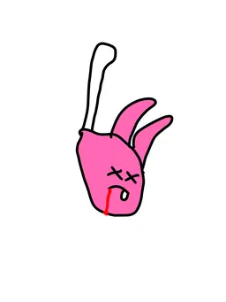 Profile image of 화음