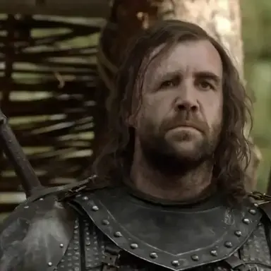 Profile image of Sandor Clegane