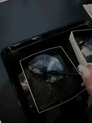 WaryStamp3493의 俺の方がイイ。