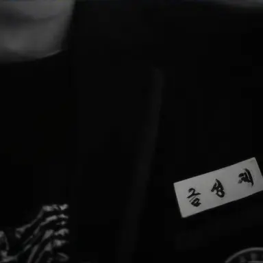 Profile image of 금성제