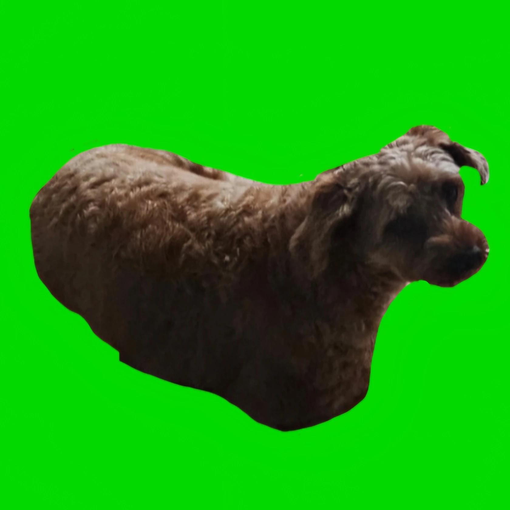 평학
