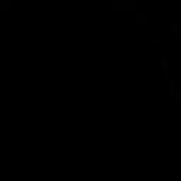 LilacRose5483의 고니