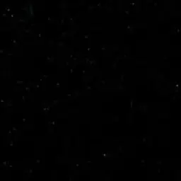 Profile image of 정우영