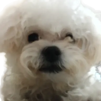 Profile image of 큰누나
