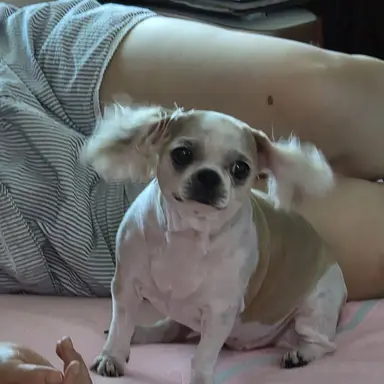Profile image of 아빠
