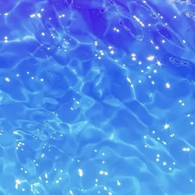 Profile image of 포링