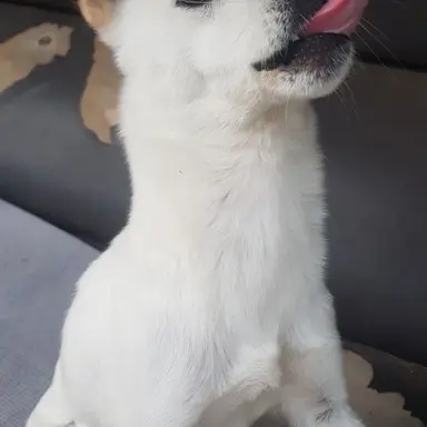 Profile image of 평학