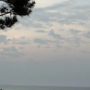 Profile image of 윤강민