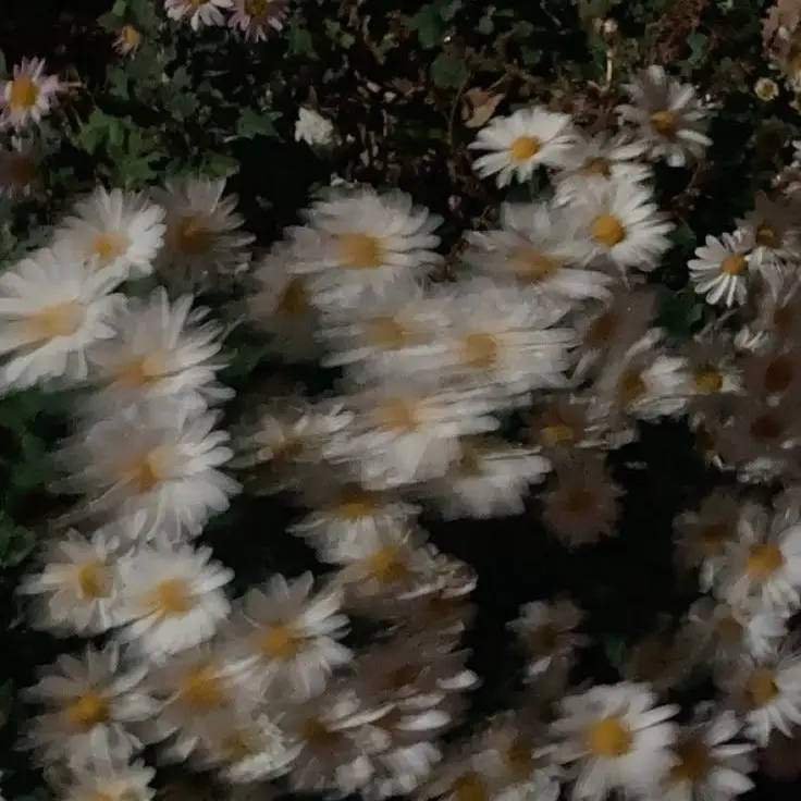 DullAinu4142의 振り向いて！