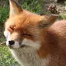 Profile image of 선혁