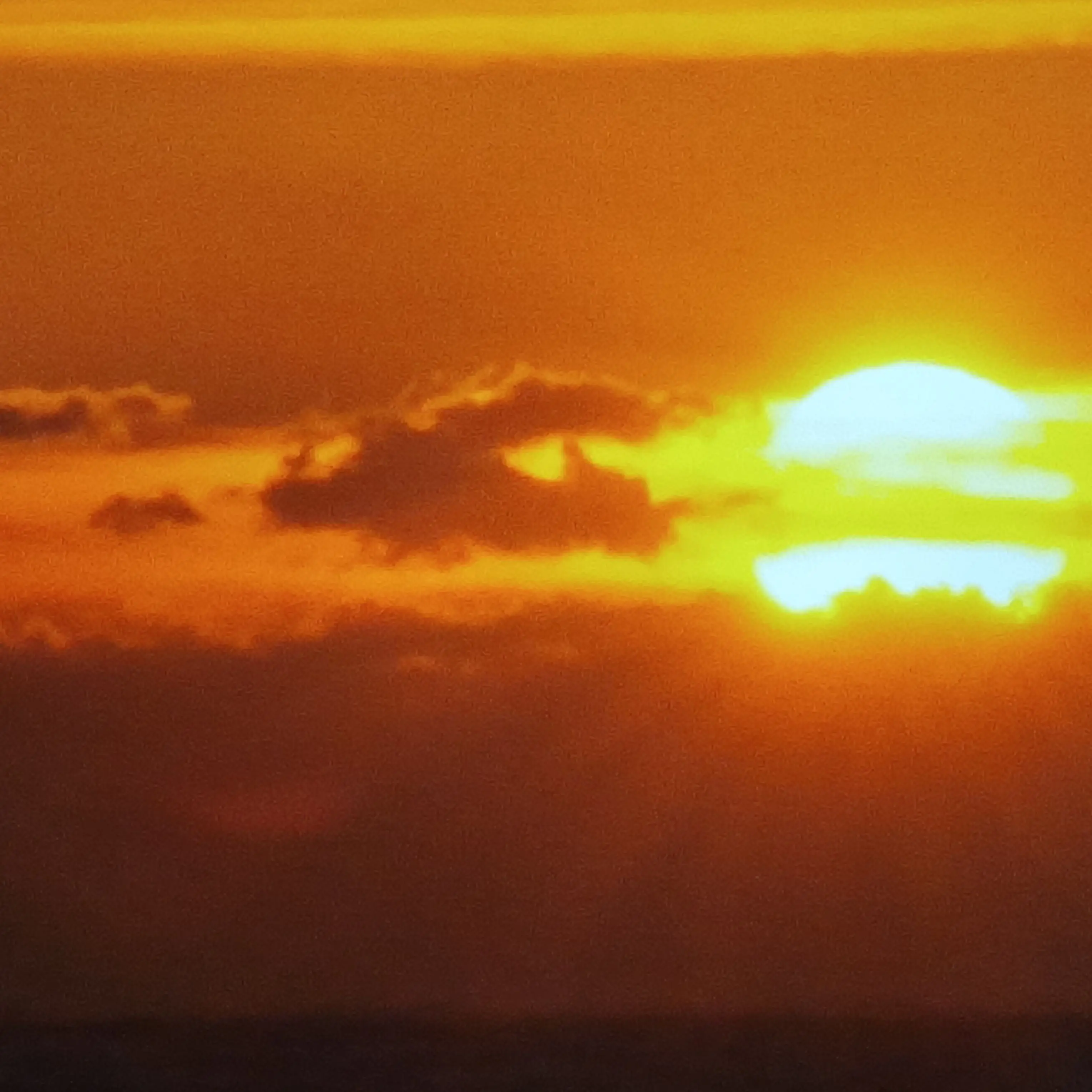 ShortFlute3747의 김도령라유에게 멤버가 생겼다!