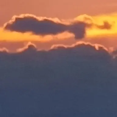 Profile image of 준브레드