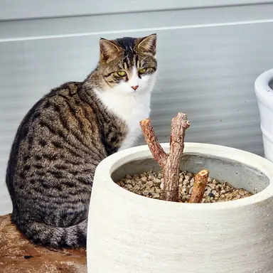 Profile image of 선생님