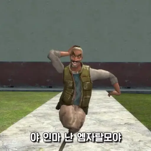 qqwerrtay26의 M자 탈모탄조