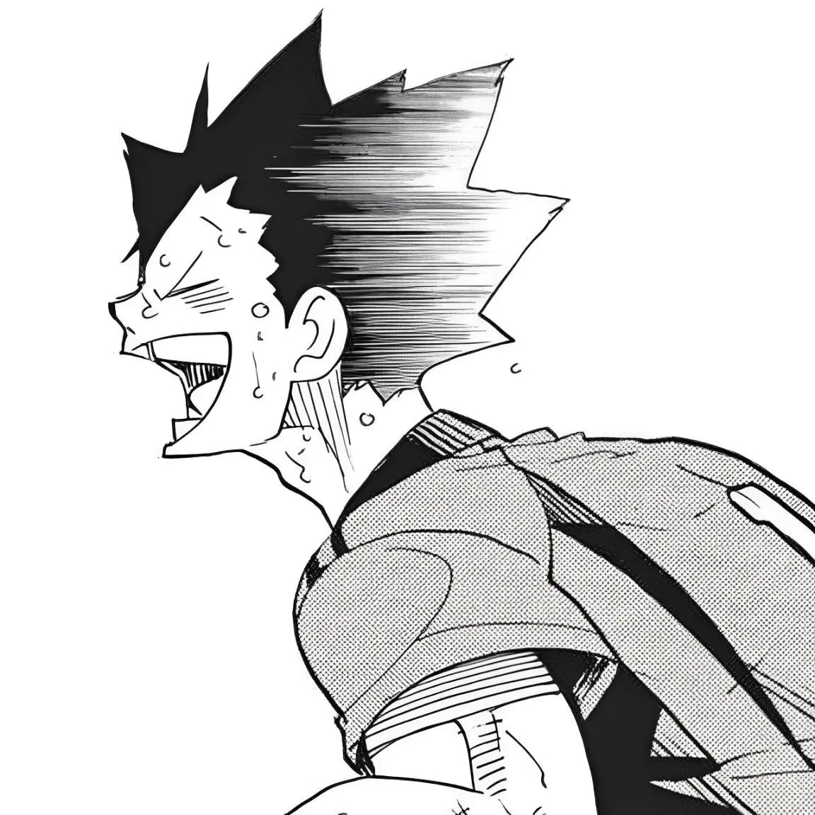 MusclyPest3933의 マネージャーとキャプテン