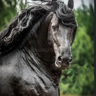 Profile image of Wild