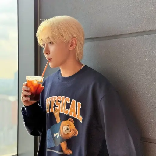 woozi-hoshi의 부승관