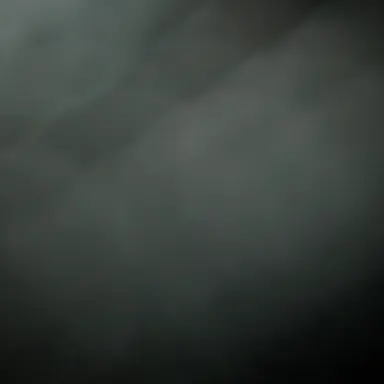 Profile image of 夏コラボメンバー