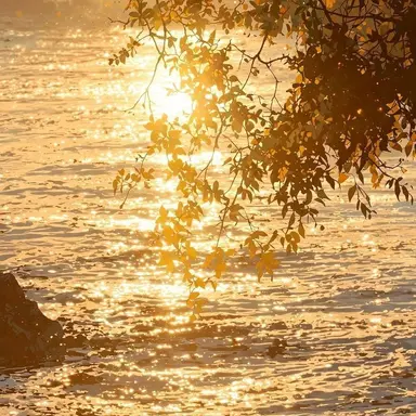 Profile image of 김일영