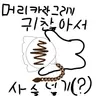 Profile image of 주인장인 루미