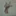 토하는 오랜