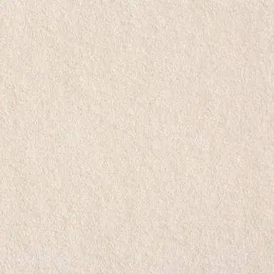 Profile image of アメリカ