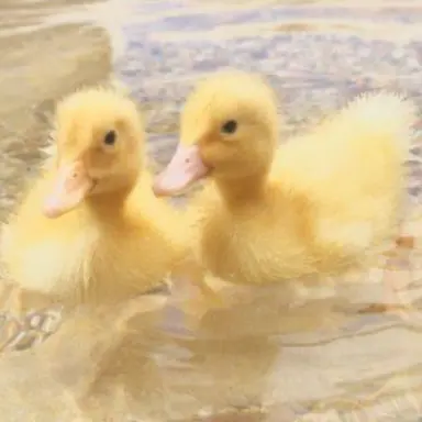 Profile image of 이서