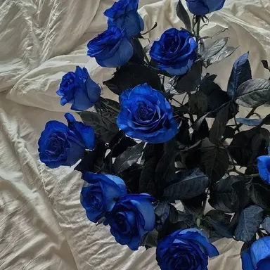 Profile image of 가을