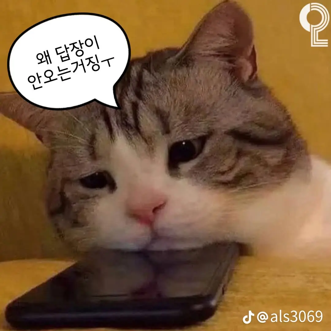 StableCoast9962의 김규빈