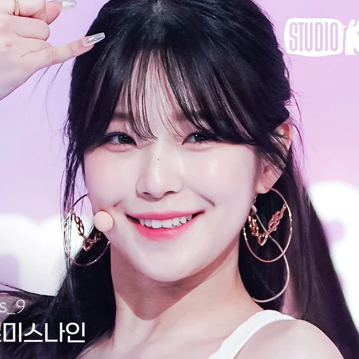 백지헌
