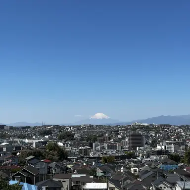 Profile image of 昼ネコ