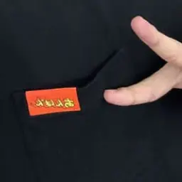 DeepKazoo3021의 拾われる、？