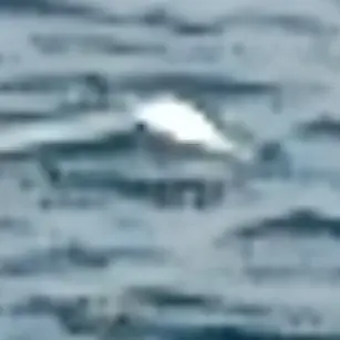 Profile image of 不死川実弥