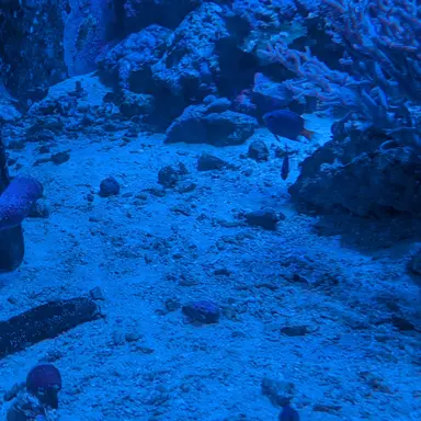 Profile image of 健太