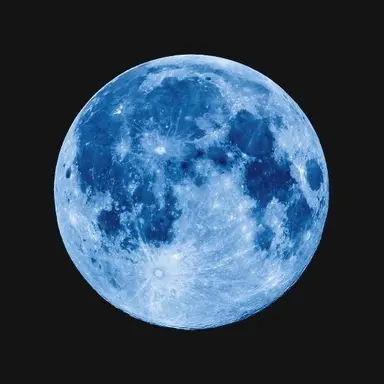 Profile image of 塩崎大智