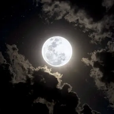 Profile image of 츠기쿠니 미치카츠